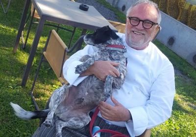 Cani e gatti abbandonati trovano casa dallo chef stellato Cani e gatti abbandonati trovano casa dallo chef stellato