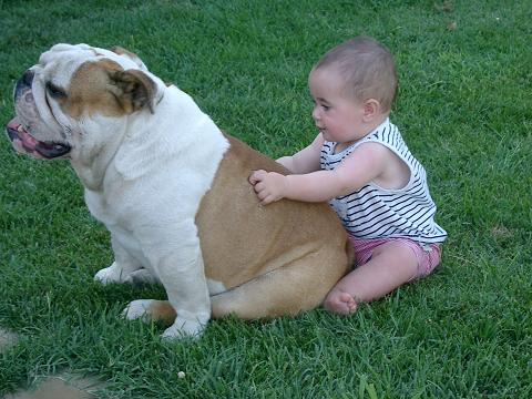 cane e bimbo