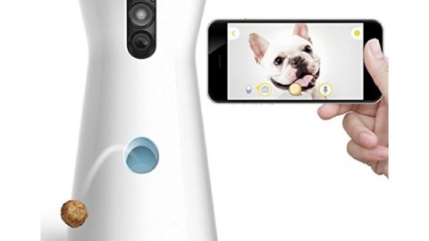 Furbo è la prima videocamera per cani per vedere, parlare e … – Macity (Blog)
