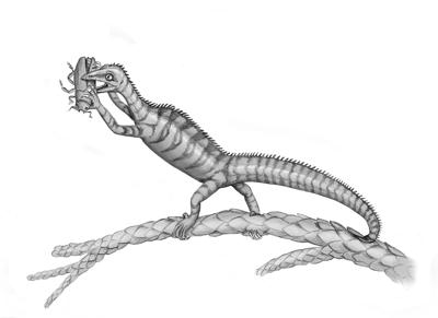 Ecco l'Avicranium renestoi, rettile preistorico intitolato a un paleontologo italiano Ecco l'Avicranium renestoi, rettile preistorico intitolato a un paleontologo italiano