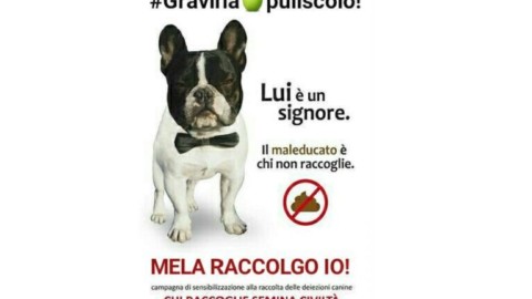 #melaraccolgoio!, contest fotografico a premi rivolto ai padroncini … – GravinaLife
