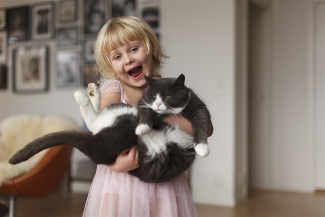 Come cani e gatti ci migliorano la vita