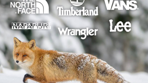 Grazie a LAV la VF Corporation aderisce al Fur Free Retailer program