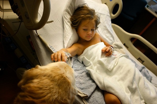 Come cani e gatti ci migliorano la vita