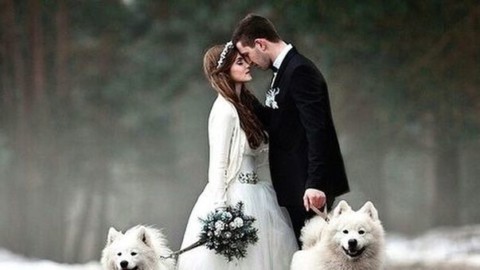 Un matrimonio da cani: in un libro tutti i consigli per far partecipare … – Il Messaggero