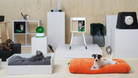 Ikea punta sugli animai domestici e lancia per loro la linea «pelosa» – Il Gazzettino