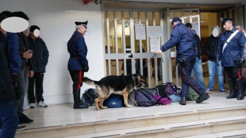 Scuole, controlli con i cani antidroga – Il Mattino