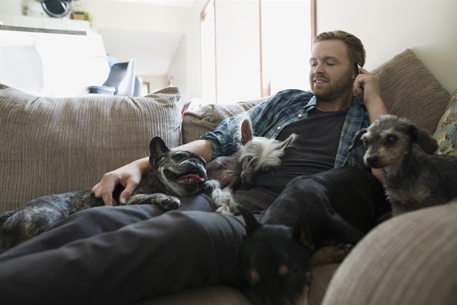 Come cani e gatti ci migliorano la vita