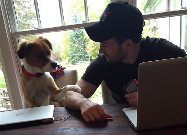 Chris Evans con Dodger