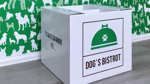 Dog's Bistrot, il servizio a domicilio di alimenti naturali per cani – Gambero Rosso