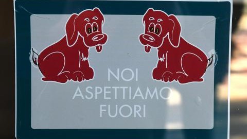 Cani, nei supermercati in città sono «vietati» – l'Adige – Quotidiano indipendente del Trentino Alto Adige