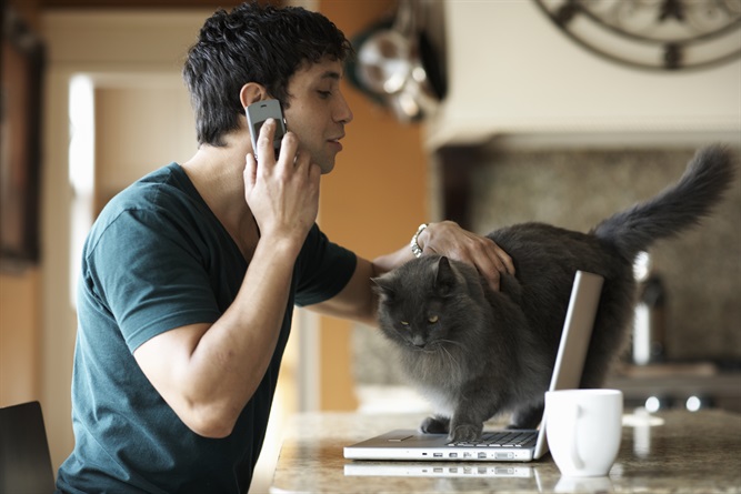 Come cani e gatti ci migliorano la vita