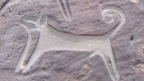 La prima raffigurazione di un cane scoperta in Arabia: ha ottomila … – Scienzenotizie.it (Comunicati Stampa) (Blog)