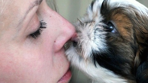 Preferiamo i cani alle persone: proviamo più empatia per gli animali – Scienze Fanpage