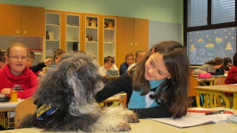 Cani a scuola bimbi a lezione di educazione cinofila – Il Canavese