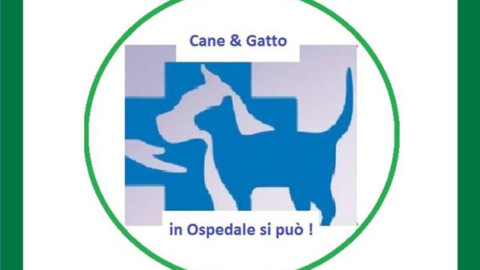Asst Vimercate: nei suoi ospedali cani e gatti sono i “benvenuti” – MBnews