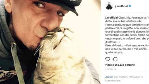 Muore il cane della Canalis: «Piero, ti cercherò in ogni segno» – Vanity Fair.it