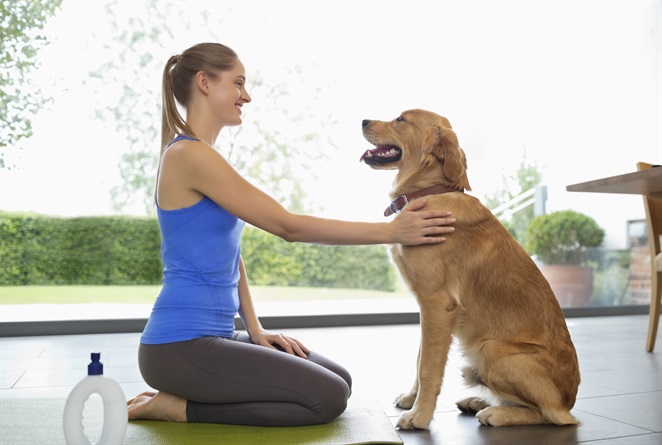 Come cani e gatti ci migliorano la vita
