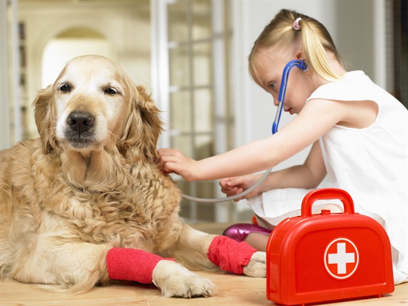 Come cani e gatti ci migliorano la vita