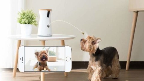Furbo, la videocamera per cani che lancia i croccantini – Applicando
