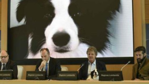 Animali: già ammessi in 60% ospedali lombardi, spot appello ad … – La Sicilia
