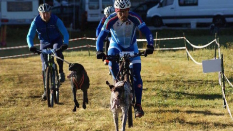 In bici con il cane: un valdostano ai Campionati mondiali di Bikejoring – AostaSera