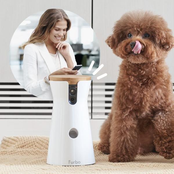 Furbo videocamera per cani