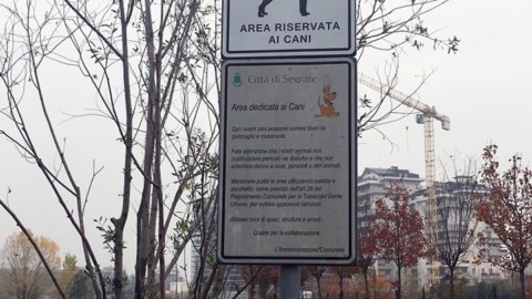 Morto un cane a seguito di un'aggressione – La Martesana