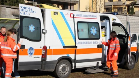 Due cani attaccano un cane a spasso con la padrona. Ferito l … – Il Giornale di Barga online