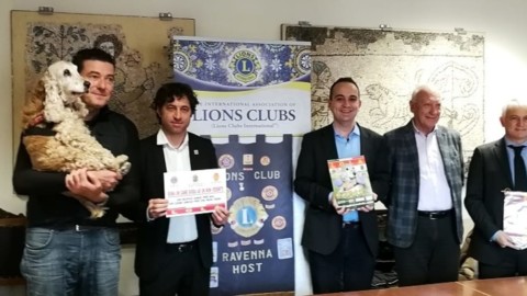 Torna il calendario benefico di Lola per donare un cane a chi non … – RavennaToday