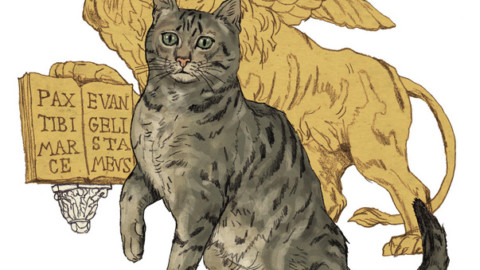 Ninni e gli altri gatti veneziani protagonisti della storia della … – Il Gazzettino