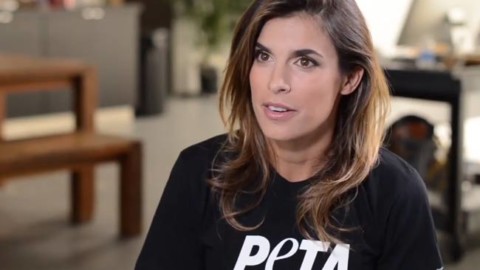 Elisabetta Canalis nuova campagna di moda per PETA – Pizzadigitale