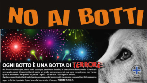 NO AI BOTTI DI CAPODANNO! – Storie di Eccellenza