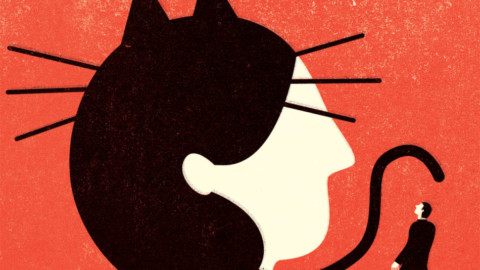 L'amore ha sette vite come i gatti – Vanity Fair.it