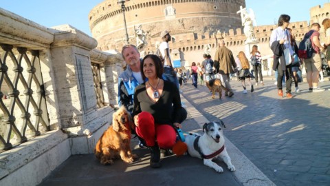 Agenda animale, gli appuntamenti del weekend del 16-17 dicembre … – Il Sole 24 Ore