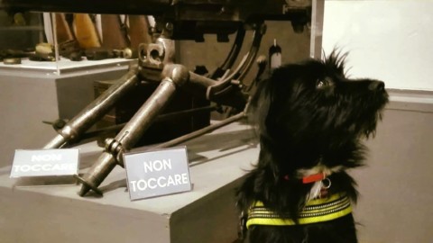 Al museo o al forte con il cane – l'Adige – Quotidiano indipendente del Trentino Alto Adige