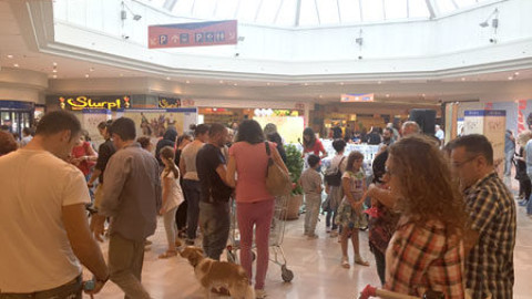 Cani nei centri commerciali? “Colpa di padroni egoisti ed esibizionisti” – Casteddu on Line