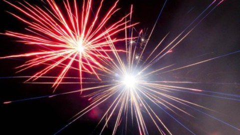 I cani e l'incubo dei botti di Capodanno Piccola guida per la (loro … – L'Eco di Bergamo