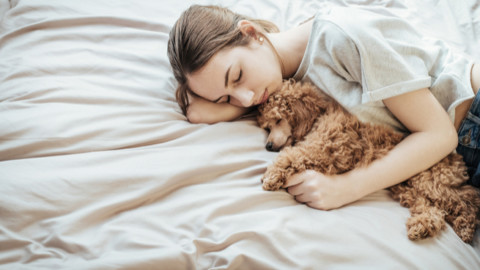 Dormire con il cane disturba il sonno: vero o falso? – Pazienti.it