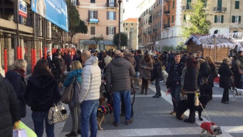 Savona, Piazza Sisto invasa dai cani contro l'ordinanza “anti … – SavonaNews.it