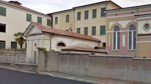 Arrivano i cani anti-droga a scuola: le dosi volano dalle finestre – TrevisoToday
