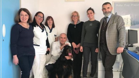 Il Setter Gordon Tosca entra nel Servizio Psichiatrico Diagnosi e … – ATNews
