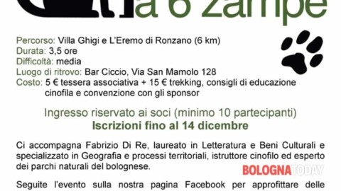 Trekking a sei zampe: con il cane da Villa Ghigi all'Eremo di Ronzano – BolognaToday