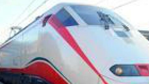 Viaggi in treno per 250 mila cani e gatti, a Natale boom biglietti – La Sicilia