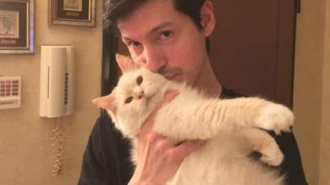 Da Mariano il gatto guaritore STORIE DEL 2017 – Giornale di Como