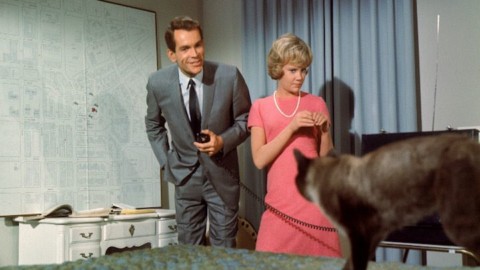 F.B.I. OPERAZIONE GATTO/ Oggi su Rai 2: curiosità sul film della … – Il Sussidiario.net