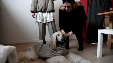 Ensemble assortiti cane-padrone, la moda di Temellini a Milano – askanews