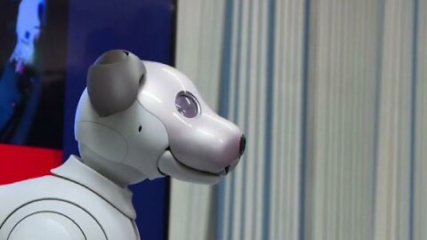 Sony lancia il cane robot intelligente: si chiama Aibo – Corriere di Viterbo (Blog)