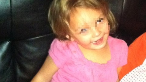 Usa, bimba di 3 anni sbranata da un pitbull: il padre aveva comprato … – Il Messaggero