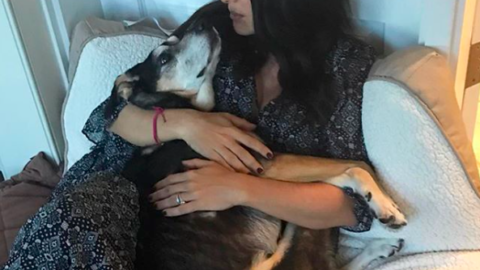 Il tenero addio di Salma Hayek al suo cane Lupe – Io Donna